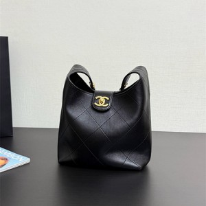 샤넬 호보백 스몰 AS3669 2025/신상