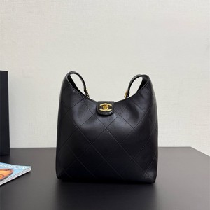 샤넬 호보백 라지 AS3670 2025/신상