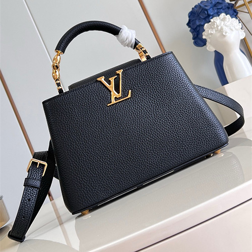 루이비통 카푸신 PM M48865 2025/신상