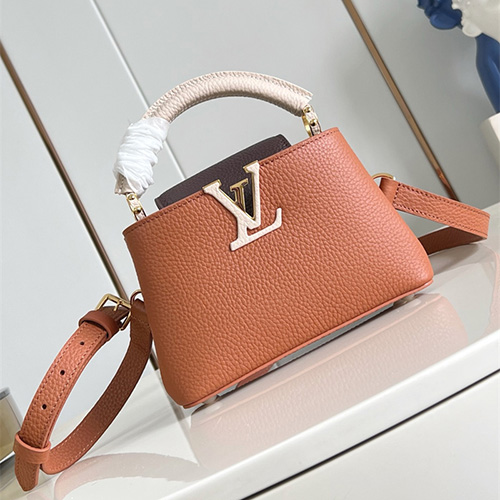 루이비통 카푸신 미니 M14176 2025/신상