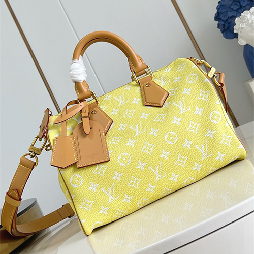 루이비통 스피디 P9 반둘리에 30 모노그램 M21115 2025/신상