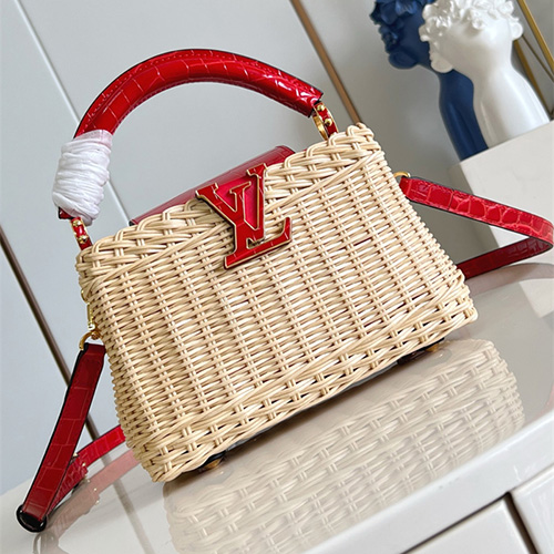 루이비통 카푸신 미니 M48865 2025/신상