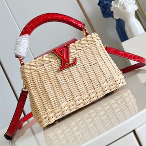 루이비통 카푸신 미니 M48865 2025/신상