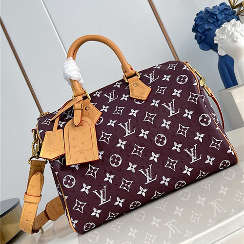 루이비통 스피디 P9 반둘리에 30 M21209 2025/신상