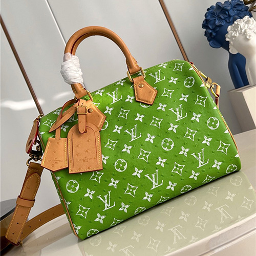 루이비통 스피디 P9 반둘리에 30 M21209 2025/신상